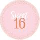 Metallic Rose Gold & Pink Sweet 16 Tableware Kit for 16 Guests